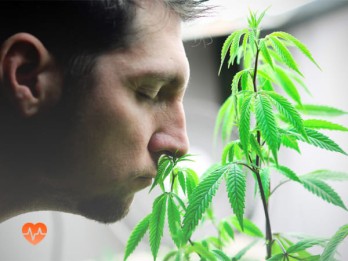Детоксикация от марихуаны в Хасавюрте